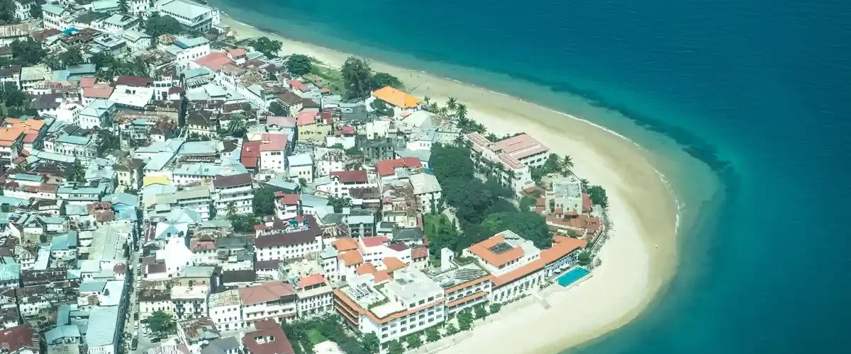 Captivating image showcasing the incredible wildlife and landscapes during Tanzania Tours and Safari, featuring majestic animals in their natural habitat.