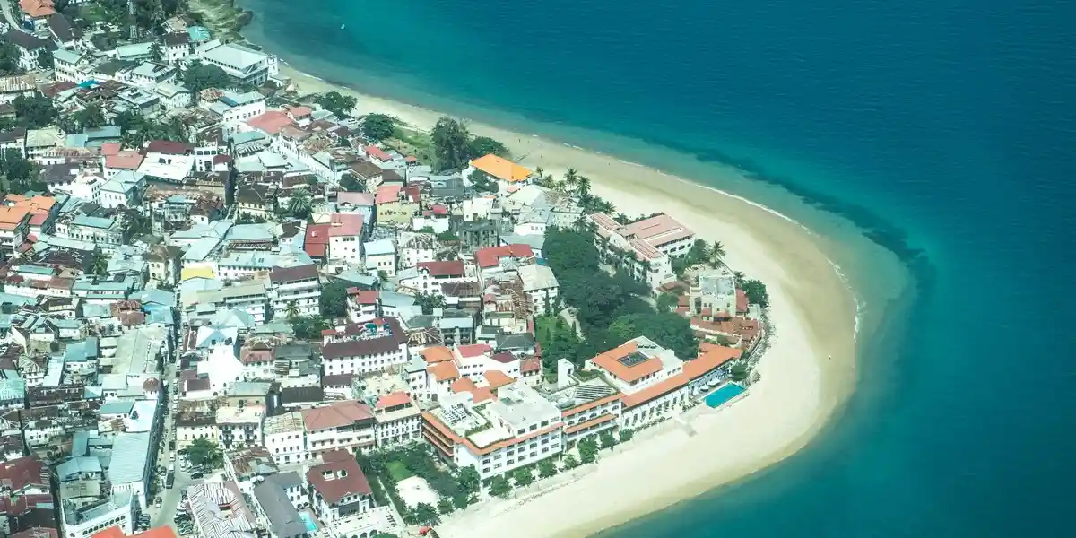 Captivating image showcasing the incredible wildlife and landscapes during Tanzania Tours and Safari, featuring majestic animals in their natural habitat.