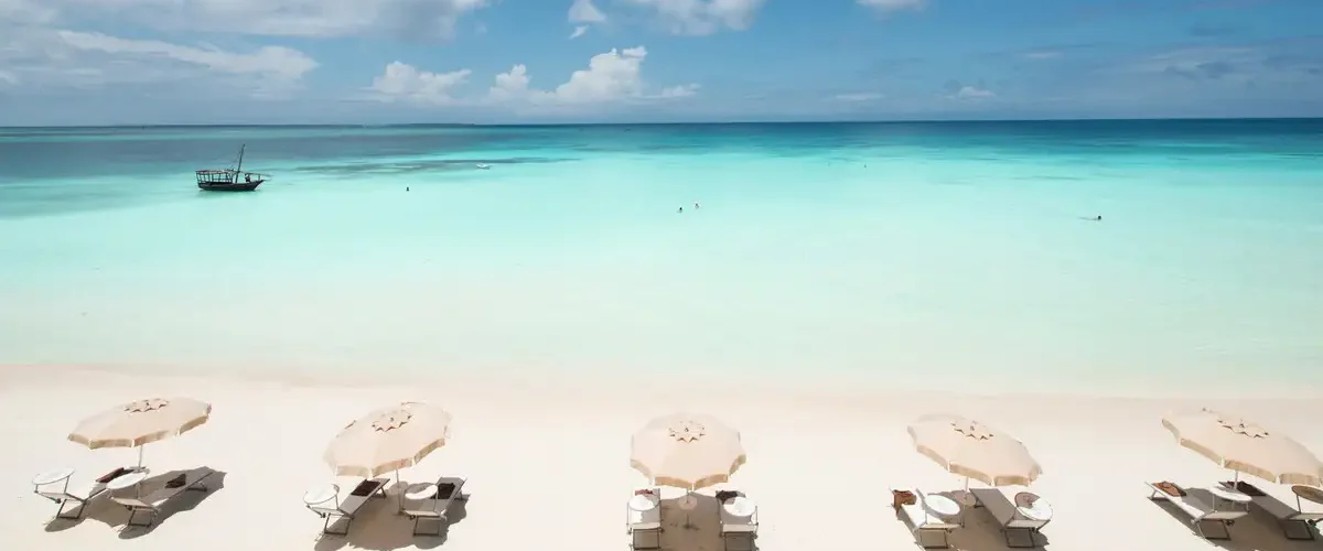 Captivating image showcasing the incredible wildlife and landscapes during Tanzania Tours and Safari, featuring majestic animals in their natural habitat.