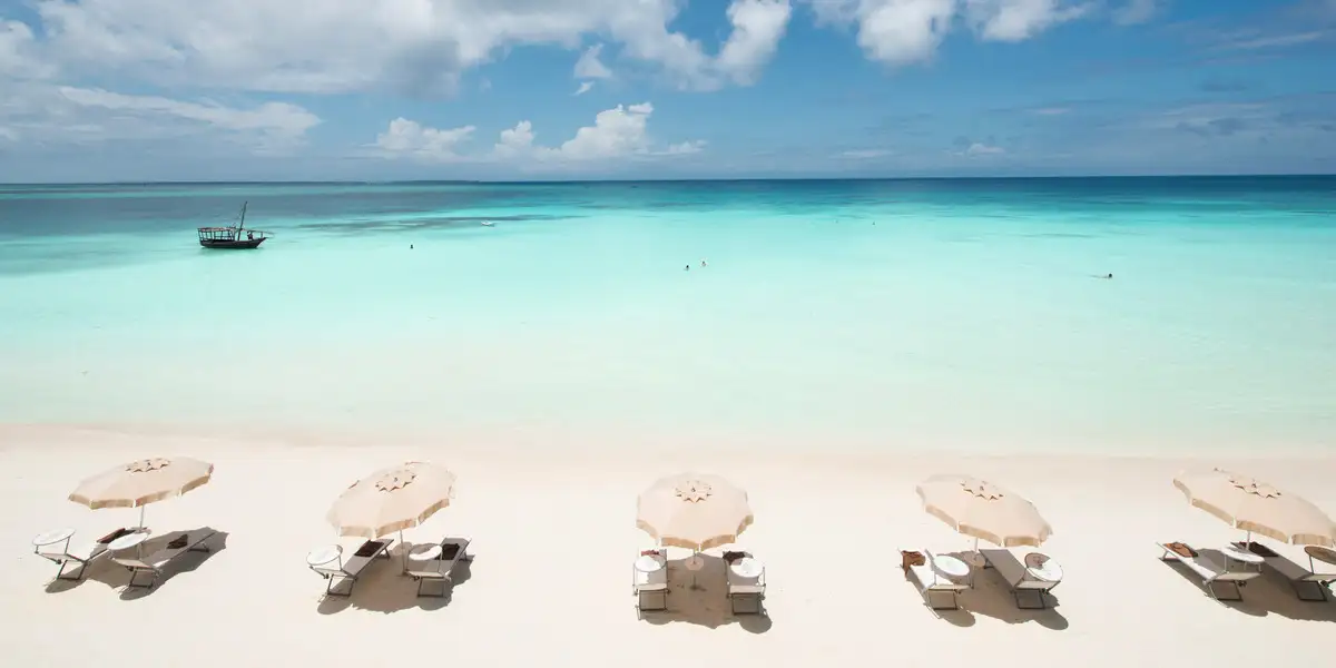 Captivating image showcasing the incredible wildlife and landscapes during Tanzania Tours and Safari, featuring majestic animals in their natural habitat.