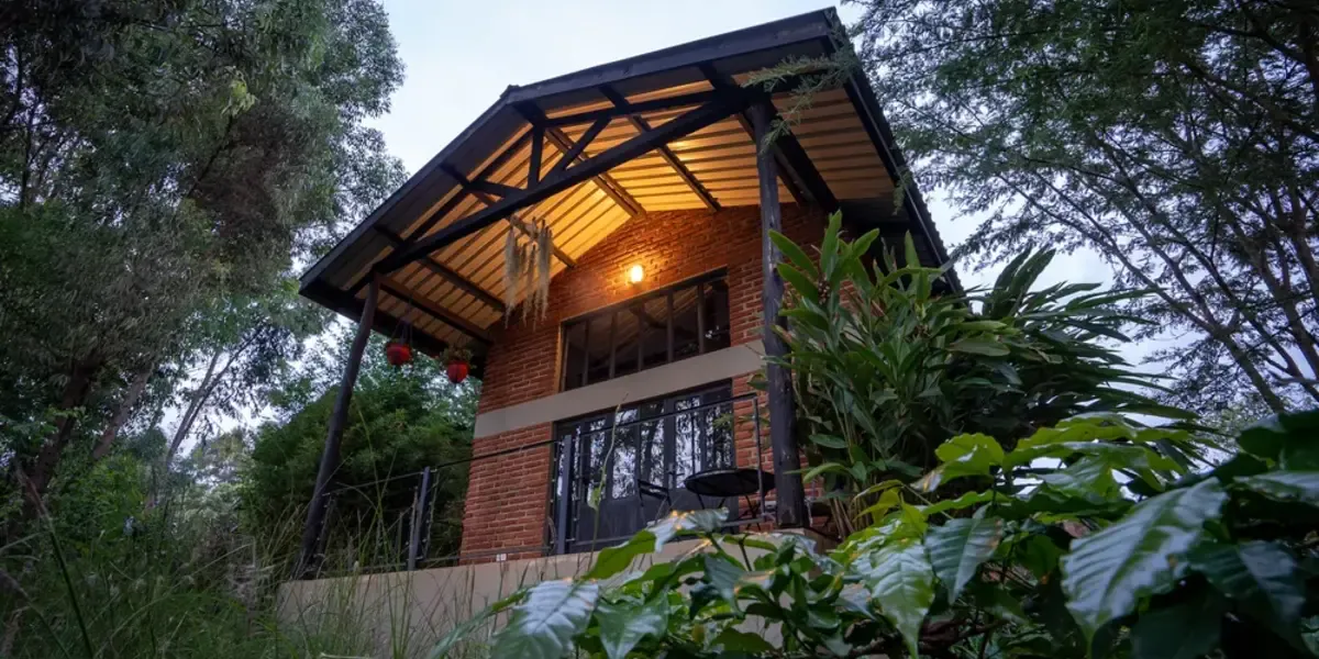 Captivating image showcasing the incredible wildlife and landscapes during Tanzania Tours and Safari, featuring majestic animals in their natural habitat.