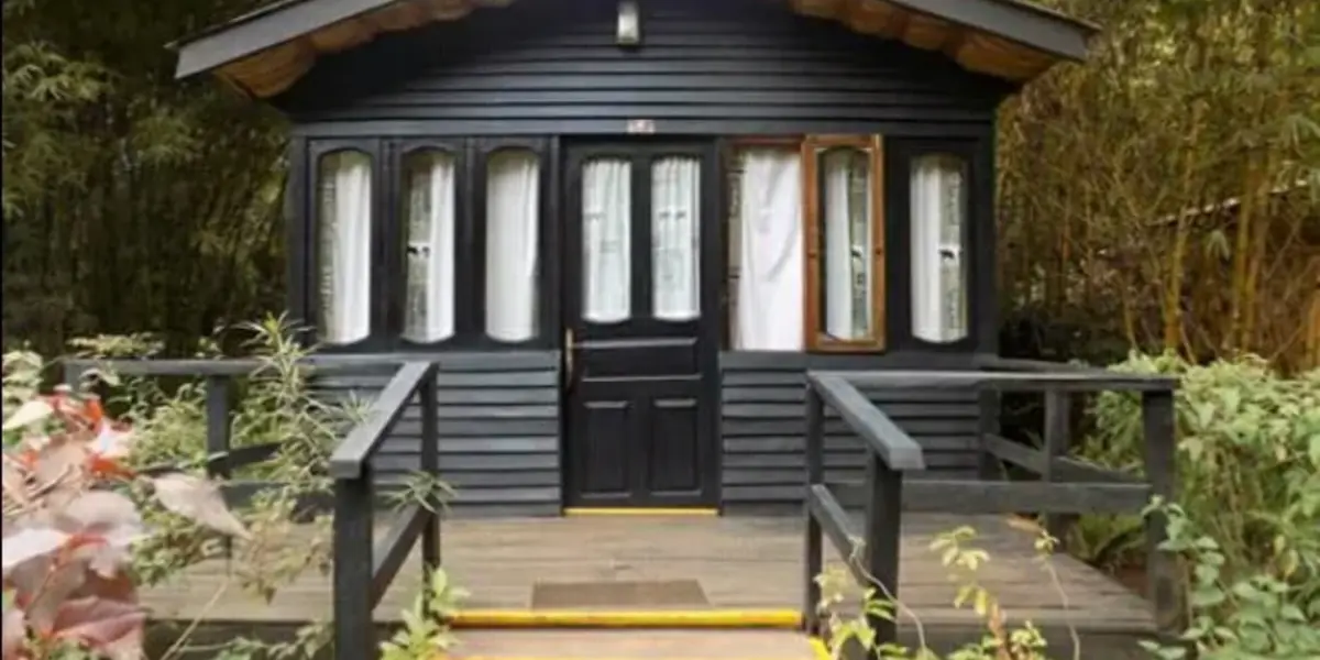 Captivating image showcasing the incredible wildlife and landscapes during Tanzania Tours and Safari, featuring majestic animals in their natural habitat.