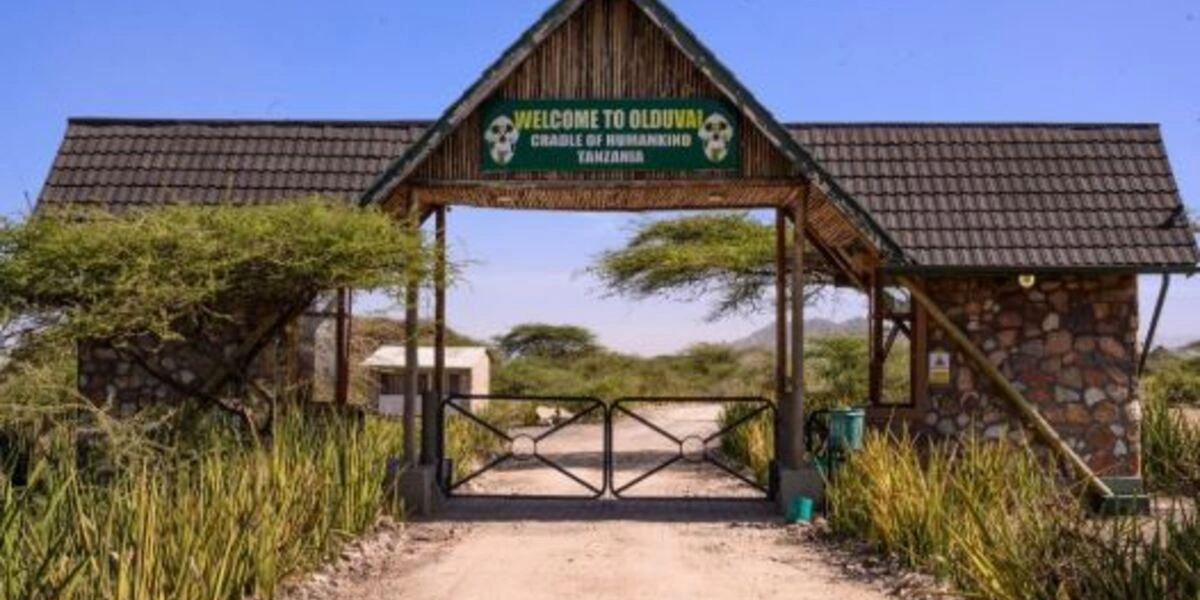 Captivating image showcasing the incredible wildlife and landscapes during Tanzania Tours and Safari, featuring majestic animals in their natural habitat.