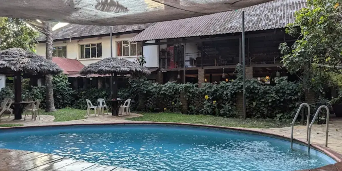 Captivating image showcasing the incredible wildlife and landscapes during Tanzania Tours and Safari, featuring majestic animals in their natural habitat.