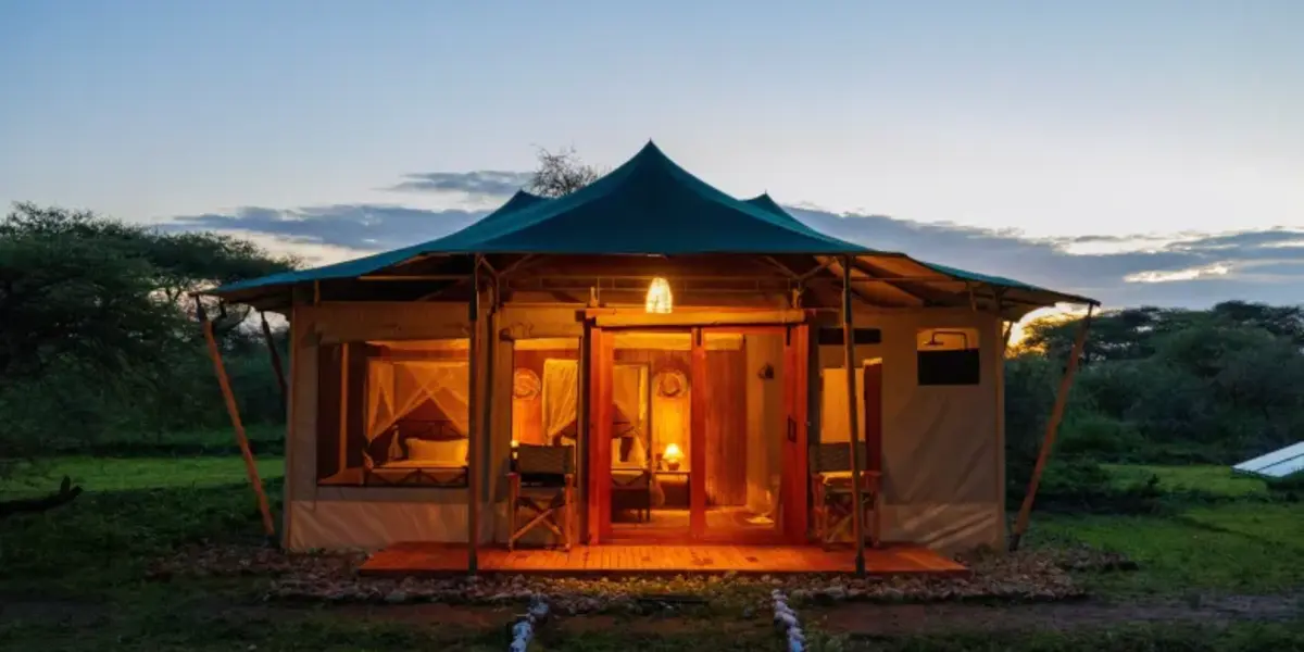 Captivating image showcasing the incredible wildlife and landscapes during Tanzania Tours and Safari, featuring majestic animals in their natural habitat.