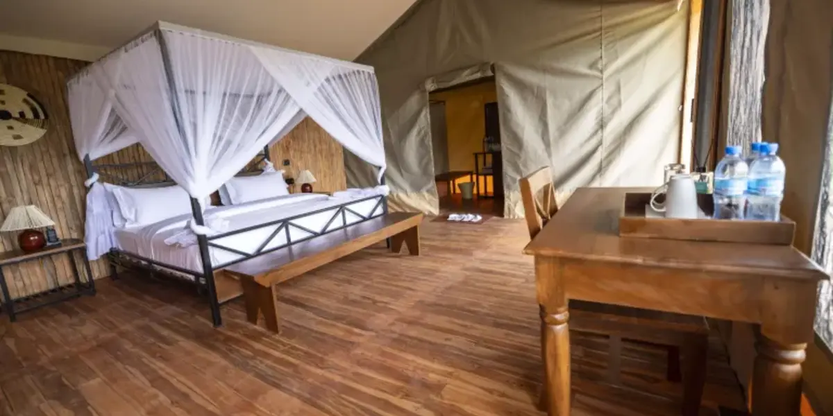 Captivating image showcasing the incredible wildlife and landscapes during Tanzania Tours and Safari, featuring majestic animals in their natural habitat.