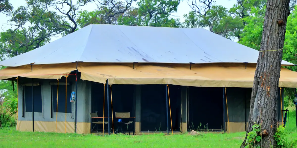 Captivating image showcasing the incredible wildlife and landscapes during Tanzania Tours and Safari, featuring majestic animals in their natural habitat.