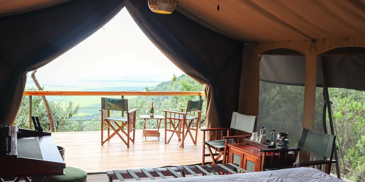 Captivating image showcasing the incredible wildlife and landscapes during Tanzania Tours and Safari, featuring majestic animals in their natural habitat.