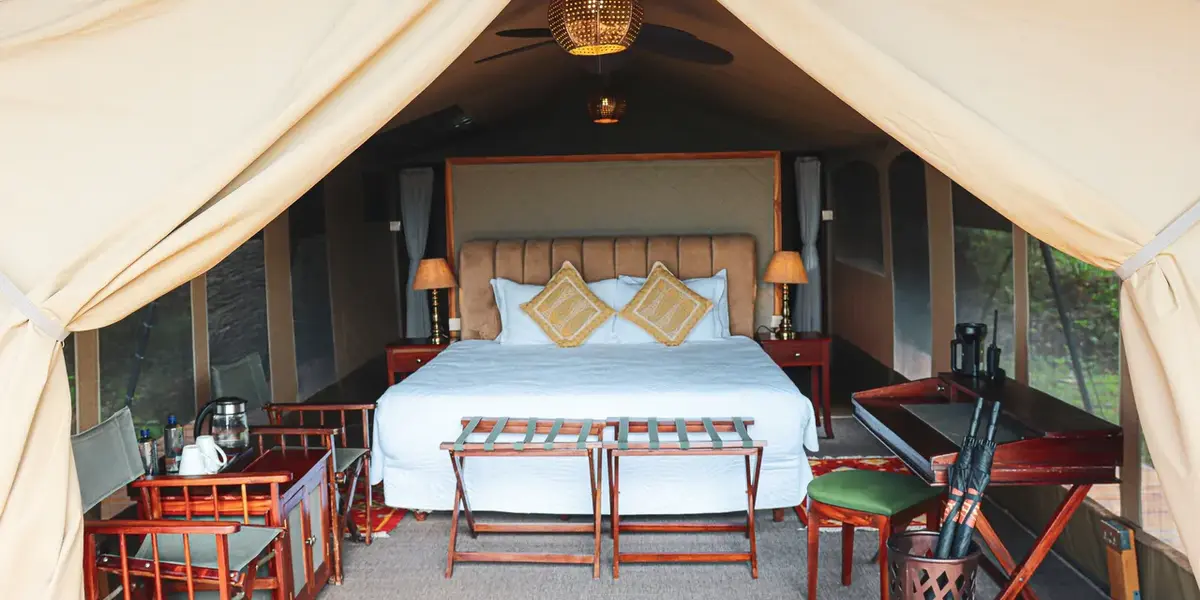 Captivating image showcasing the incredible wildlife and landscapes during Tanzania Tours and Safari, featuring majestic animals in their natural habitat.