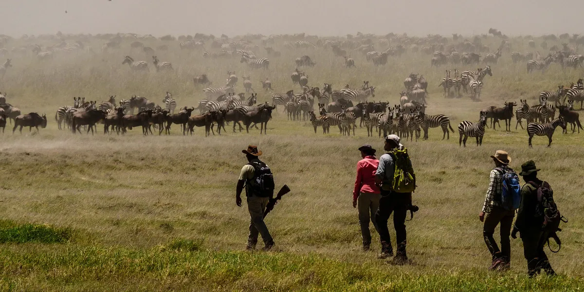 Explore the best things to do in Tanzania, including a walking tour during a safari tour to stunning views in the plains of Serengeti National Park.