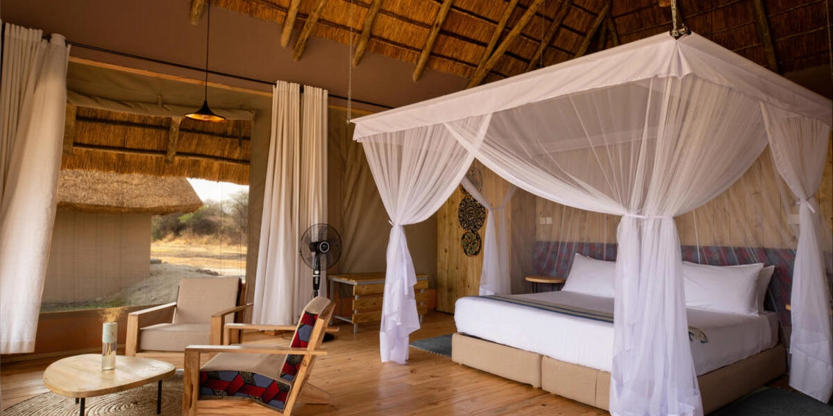 Captivating image showcasing the incredible wildlife and landscapes during Tanzania Tours and Safari, featuring majestic animals in their natural habitat.